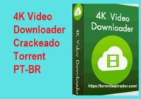 4K Video Downloader Crackeado