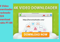 4K Video Downloader Crackeado